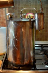 название картинки Самогон из абрикосов в домашних условиях