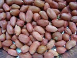 Арахисовая паста домашняя - шаг 2 Арахисовая паста домашняя - шаг 2