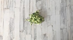 Рецепт салата авокадо с крабовыми палочками