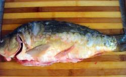 название картинки Рыба на костре на решетке на углях