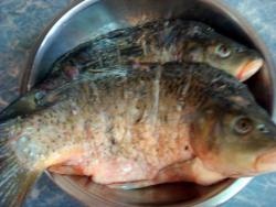 название картинки Рыба на костре на решетке на углях