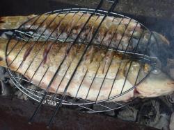 название картинки Рыба на костре на решетке на углях