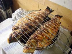 название картинки Рыба на костре на решетке на углях