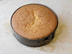 Бисквит для торта пышный и простой в духовке