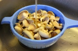 название картинки Маринованные вешенки быстрого приготовления