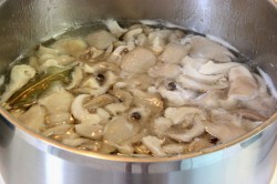 название картинки Маринованные вешенки быстрого приготовления