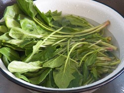 Блины со шпинатом с начинкой из сыра, чеснока и орехов