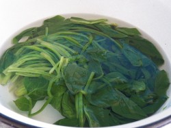 Блины со шпинатом с начинкой из сыра, чеснока и орехов