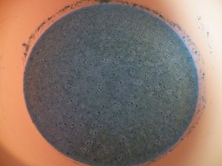 Блины со шпинатом с начинкой из сыра, чеснока и орехов