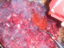 Вкусный борщ на курином бульоне с курицей