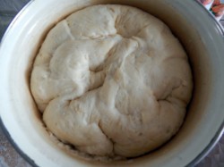 Булочки на молоке дрожжевые