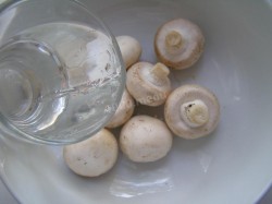 Бульон грибной