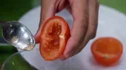 Быстрая закуска из помидоров фаршированных тунцом