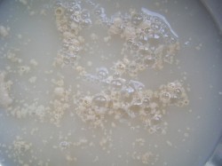 Быстрое тесто для пирога