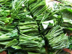 название картинки Цветная капуста с яйцом и сыром