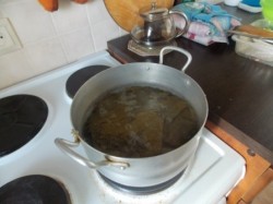 Долма с мятой и круглым рисом - шаг 1 Долма с мятой и круглым рисом - шаг 1