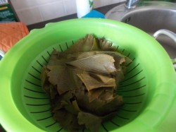Долма с мятой и круглым рисом - шаг 2 Долма с мятой и круглым рисом - шаг 2