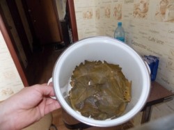 Долма с мятой и круглым рисом - шаг 3 Долма с мятой и круглым рисом - шаг 3