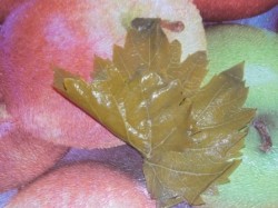 Долма с мятой и круглым рисом - шаг 7 Долма с мятой и круглым рисом - шаг 7