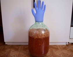 название картинки Домашнее ягодное вино из ягод