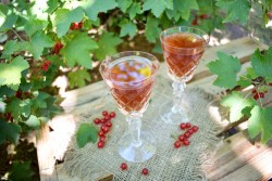 название картинки Домашнее ягодное вино из ягод