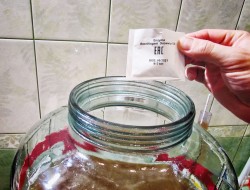 название картинки Простое вино из яблок с дрожжами