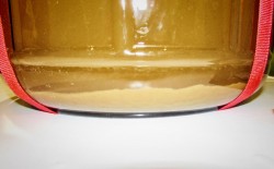 название картинки Простое вино из яблок с дрожжами