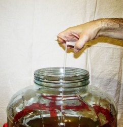 название картинки Простое вино из яблок с дрожжами