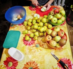 название картинки Простое вино из яблок с дрожжами