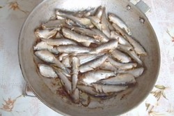 Шпроты из кильки домашние на зиму - шаг 7 Шпроты из кильки домашние на зиму - шаг 7