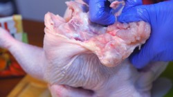 Фаршированная курица с жареной начинкой из картошки и грибов