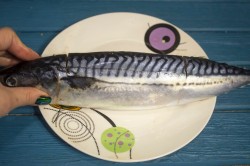 Фаршированная скумбрия в духовке