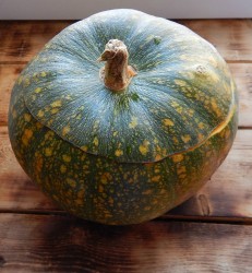 Тыква фаршированная с мясом запеченная в духовке