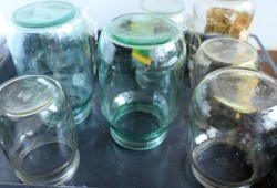 название картинки Фасоль с овощами на зиму