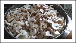 название картинки Фрикасе из филе курицы с грибами в сливочном соусе