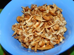 Фрикасе с грибами