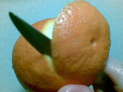 Гоголь-моголь классический