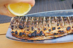 Горбуша на мангале - шаг 16 Горбуша на мангале - шаг 16