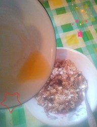 Батончик гранола - шаг 6 Батончик гранола - шаг 6