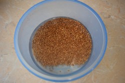 Гречка в мультиварке скороварке - шаг 2 Гречка в мультиварке скороварке - шаг 2