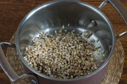 Грибной суп из грибов с перловкой