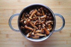 Грибовница из замороженных грибов