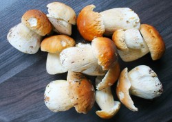 название картинки Грибы на зиму без стерилизации