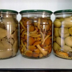 Грибы с сахаром на зиму без стерилизации