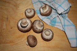 название картинки Грибы с ветчиной (почти от Феррана Адриа)