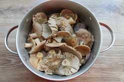 Сыроежки маринованные на зиму