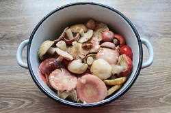 Сыроежки маринованные на зиму