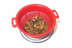 название картинки Грибы тушеные в сметане на сковороде