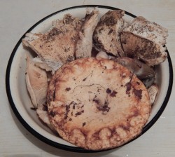 Грузди на зиму горячий способ