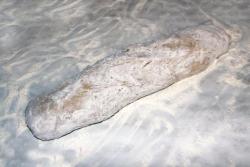 Хала с изюмом